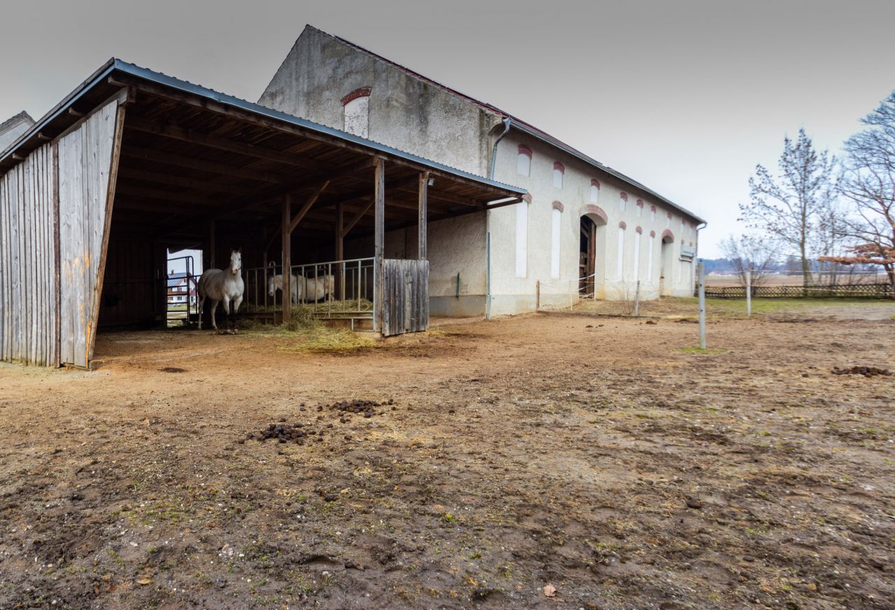+++ Ihr Pferde-Traum zum Greifen nah +++ Hofstelle inkl. 9.992m² Ackerland +++