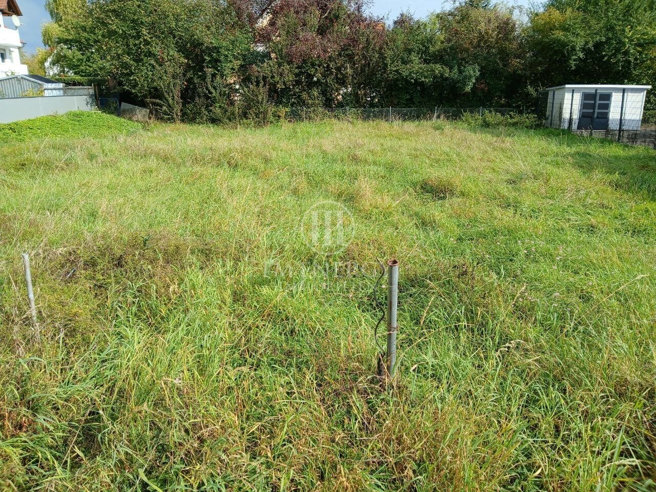 Dingolfing: +++ RUHIG in einer Sackgasse - ZWEI Planungsentwürfe liegen bereits vor +++ Dingolfing: +++ RUHIG in einer Sackgasse - ZWEI Planungsentwürfe liegen bereits vor +++